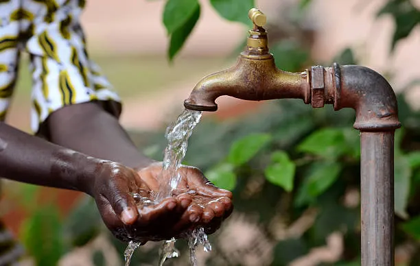Is South Sudan’s preference for foreign timber worth the price paid in DR Congo?